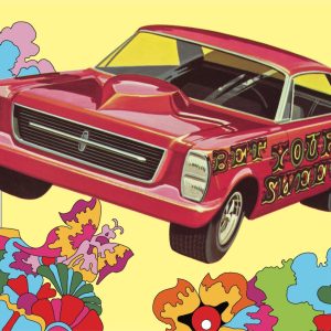 1/25 FORD GALAXIE SWEET BIPPY 1966