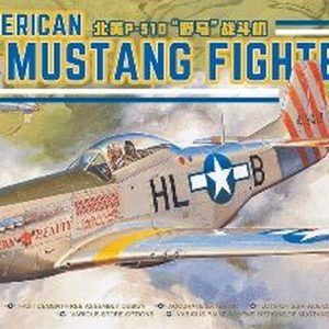 1/48 NORTH AMERICAN P-51D MUSTANG FIGHTER LS-006
