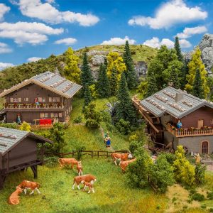 1/87 AKTIESET ALPENDORP