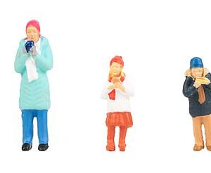 1/87 BEZOEKER KERSTMARKT