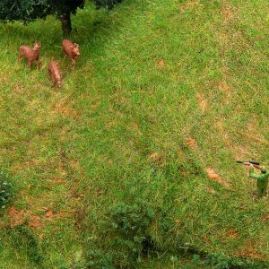 1/87 JAGERS EN REE?N