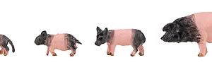 1/87 SCHWABISCH-H?LLISCHE VARKENS 6 STUKS