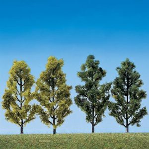 BERKEN 2 STUKS + POPULIEREN 2 STUKS