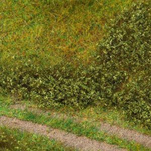 BLADFOLIAGE ZOMERGROEN