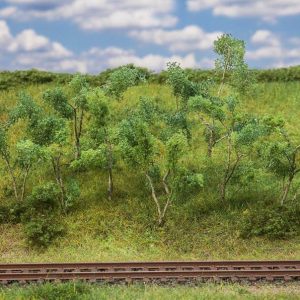 BOMEN/STRUIKEN VOOR LANGS DE BOSRAND