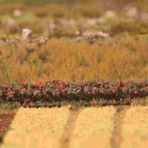 PREMIUM HEGGEN HERFSTLOOF 4 STUKS