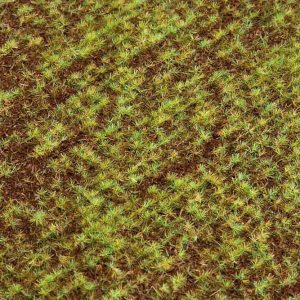 PREMIUM LANDSCHAPS-SEGMENT, AKKER