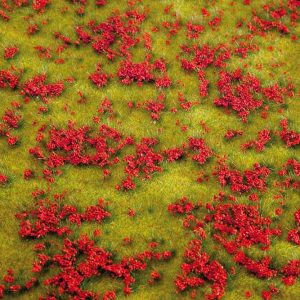 PREMIUM LANDSCHAPS-SEGMENT BLOEMENWEIDE ROOD**