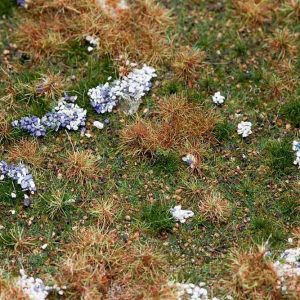 PREMIUM LANDSCHAPS-SEGMENT BOSBODEM