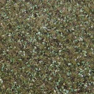 PREMIUM LANDSCHAPS-SEGMENT WEI MET WILDE KRUIDEN