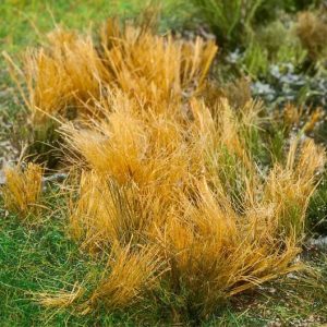 RIET BEIGE GEKLEURDE RIETBUNDEL 80 MM