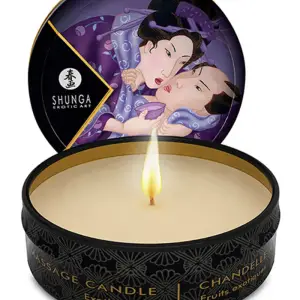 Shunga - Mini Massagekaars - Exotic Fruits