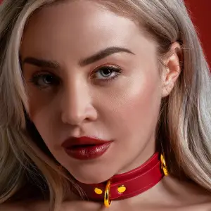 D-Ring Collar Deluxe