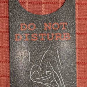 Deurhanger - Do Not Disturb Girls